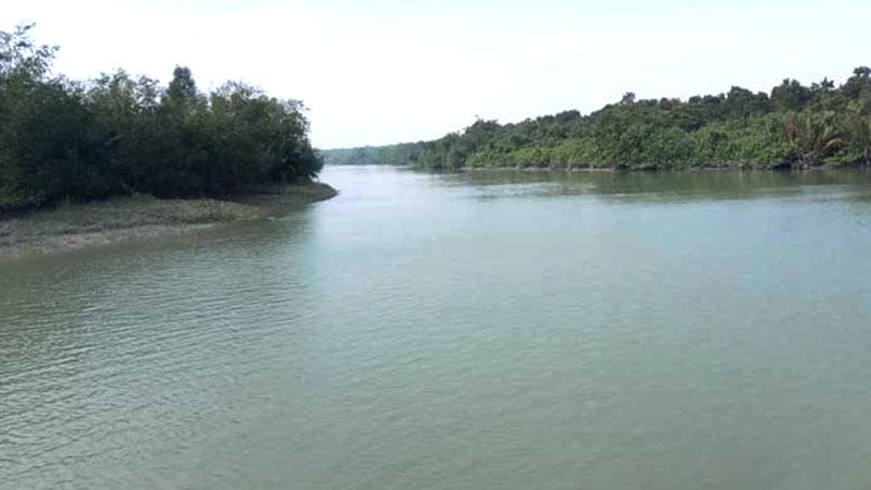 সুন্দরবনে পর্যটক প্রবেশে নিষেধাজ্ঞা উঠছে ১ সেপ্টেম্বর