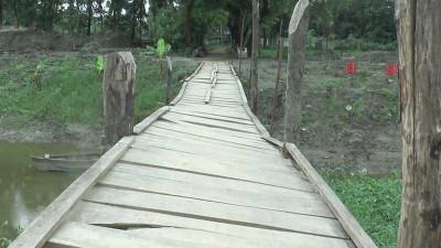 নোয়াখালীতে ভাঙা সাঁকোয় খাল পারাপারে দুর্ভোগ
