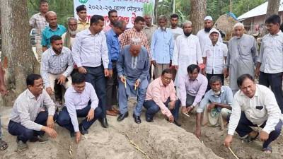 জয়পুরহাট চিনিকল এলাকায় আখ রোপণ শুরু