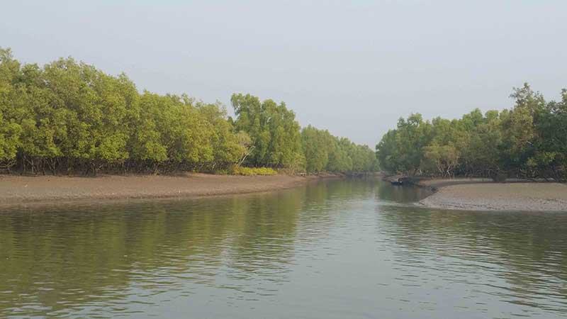 তিন মাস পর সুন্দরবনে প্রবেশে নিষেধাজ্ঞা উঠল