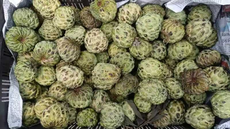 হিলি স্থলবন্দর দিয়ে আতা ফল আমদানি শুরু