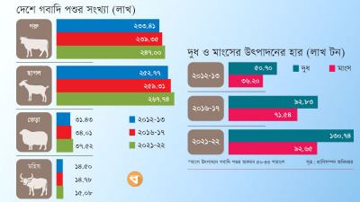 দশ বছরে গবাদি পশু বেড়েছে ৬.৬২%, দুধ-মাংস বেড়েছে ১৫৭ শতাংশ