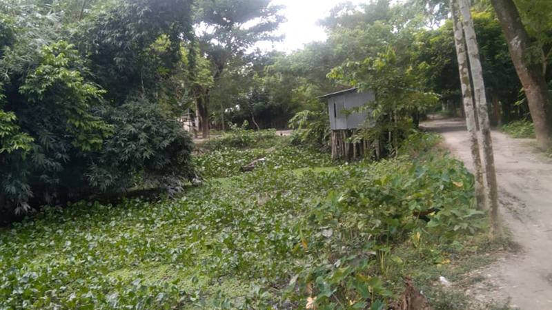 বরিশালে খালে প্রভাবশালীদের বাঁধ, হাজার একর জমি অনাবাদি