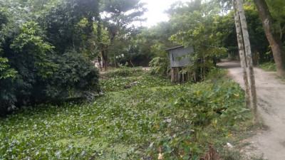 বরিশালে খালে প্রভাবশালীদের বাঁধ, হাজার একর জমি অনাবাদি