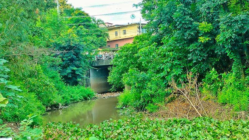 দখল-দূষণে হারিয়ে যাচ্ছে বগুড়ার ২৫টি খাল