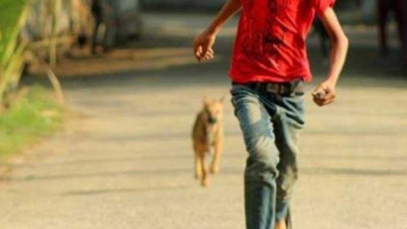 গাইবান্ধায় কুকুরের কামড়ে আরো একজনের মৃত্যু
