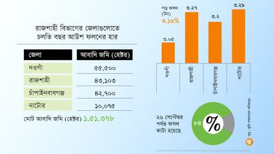 জলবায়ু পরিবর্তনে আউশে আগ্রহ বাড়ছে কৃষকের