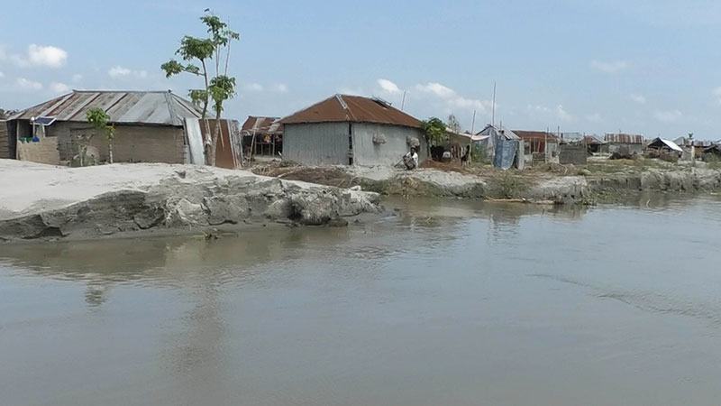 নদীভাঙন ও বন্যায় অভাব ঘোচে না কুড়িগ্রামের চরবাসীর