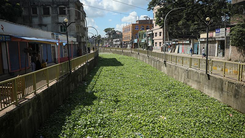 এক দশকে তাপমাত্রা বেড়েছে দশমিক ৫১ ডিগ্রি