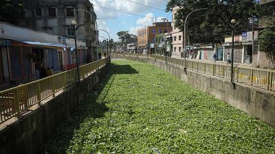এক দশকে তাপমাত্রা বেড়েছে দশমিক ৫১ ডিগ্রি