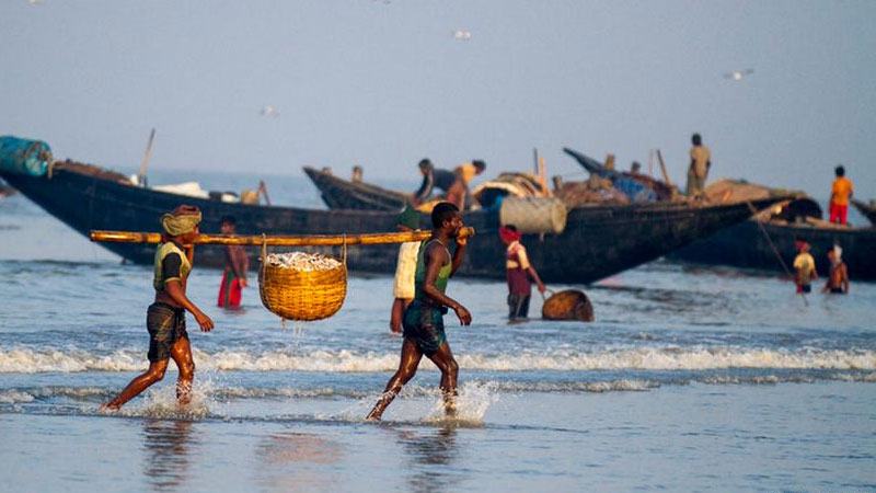 বঙ্গোপসাগরের মৎস্য আহরণ বেড়েছে ৪২ শতাংশ