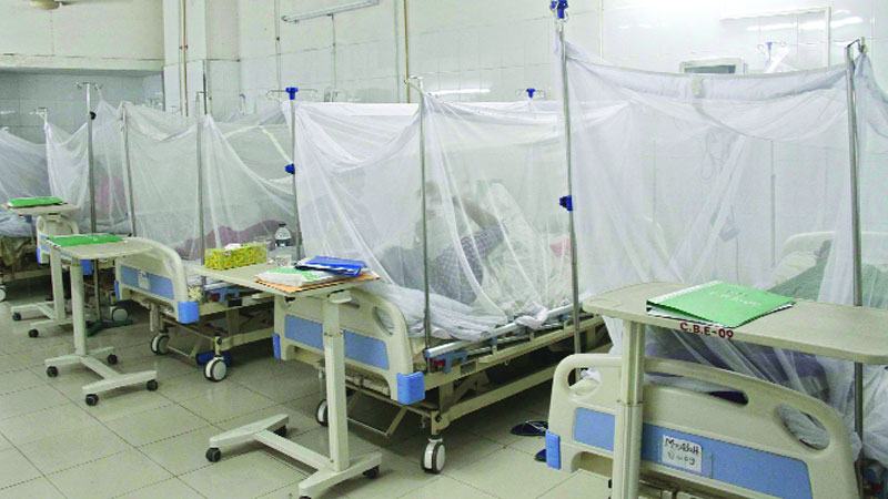 দুই দশক আগে দেশে রোগের স্বীকৃতি পায় ডেঙ্গু
