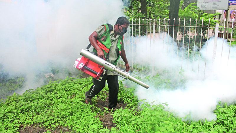 সহজ নয় এডিস মশা ও ডেঙ্গু নিয়ন্ত্রণ