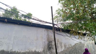 যশোরে গাছ ও বাঁশের খুঁটিতে বিদ্যুতের লাইন