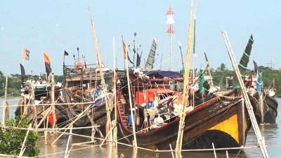 নিষেধাজ্ঞা শেষে ইলিশ শিকারিরা সাগরে
