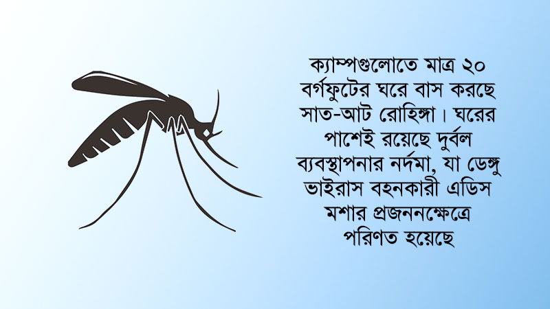 কক্সবাজারে এডিসের নিরাপদ ‘আবাস’ রোহিঙ্গা ক্যাম্প