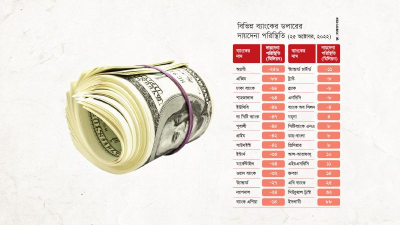 ২০ ব্যাংকের কাছে দায় মেটানোর ডলার নেই