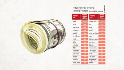 ২০ ব্যাংকের কাছে দায় মেটানোর ডলার নেই