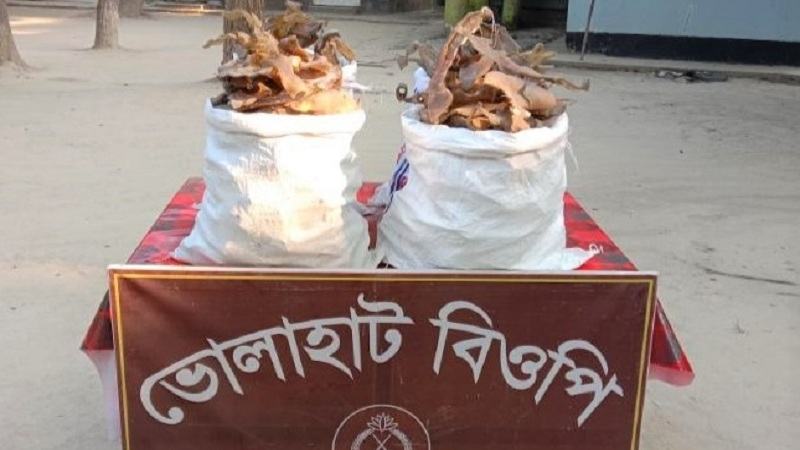 সীমান্তে ৭৬ লাখ টাকার কচ্ছপের হাড় জব্দ