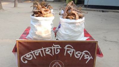 সীমান্তে ৭৬ লাখ টাকার কচ্ছপের হাড় জব্দ