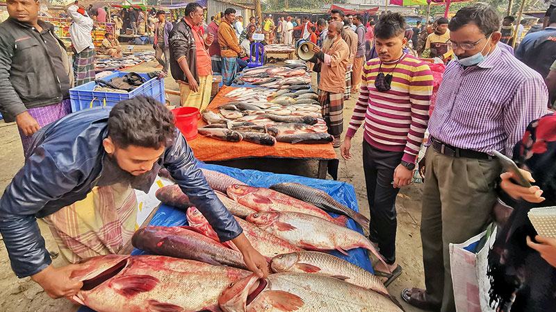 বগুড়ায় মাছের মেলায় কোটি টাকার কেনাবেচা