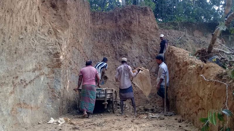 বড়লেখায় টিলা কাটার দায়ে পাঁচজনের কারাদণ্ড