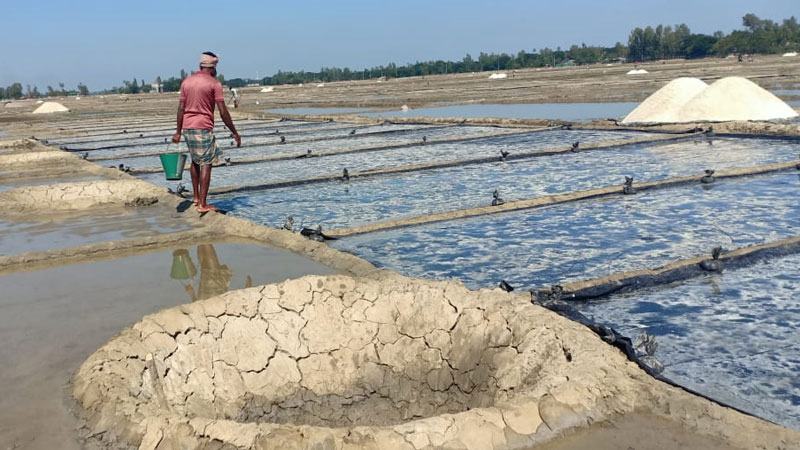 ২৩ লাখ টন লবণ উৎপাদনের লক্ষ্যে মাঠে ব্যস্ত চাষীরা