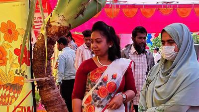 ৬৫ কেজির মানকচু দেখতে ভিড়