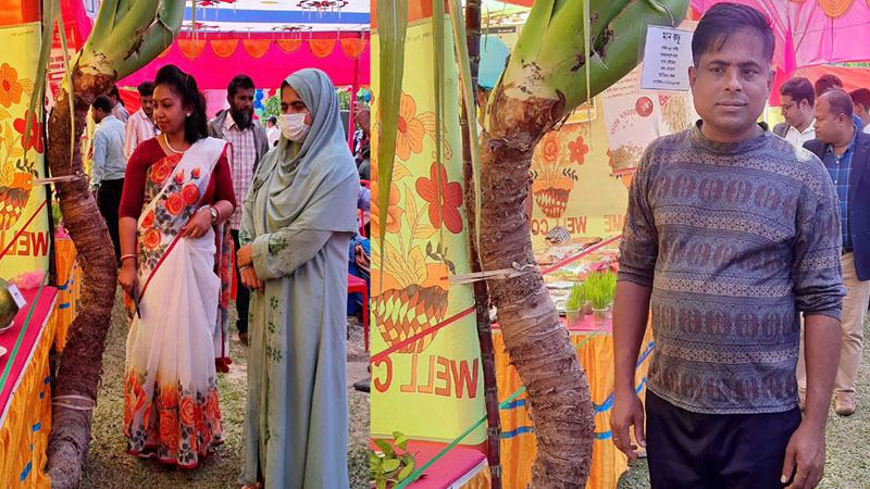 বাগেরহাটে কৃষি প্রযুক্তি মেলায় ৬৫ কেজি ওজনের মানকচু