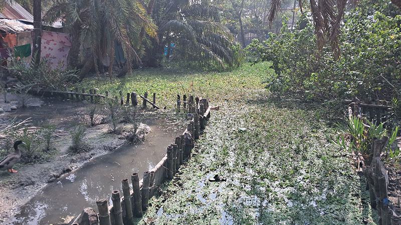 দখল-দূষণে বাগেরহাটের ৫৬ নদী-খাল সংকটে