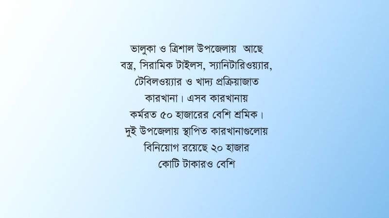 গ্যাস সংকটে কারখানা লে-অফ করতে চান শিল্পোদ্যোক্তারা