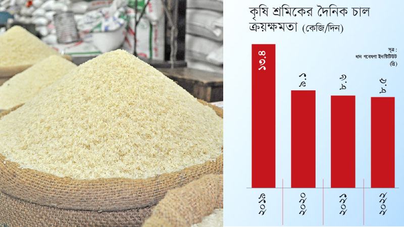 চার বছরে কৃষি শ্রমিকের ক্রয়ক্ষমতা কমেছে ৩৬.৫৬%