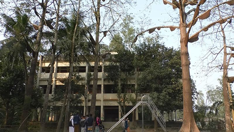‘সরিষা মৌসুম শেষ হলেই চলে যাবে মৌমাছি’