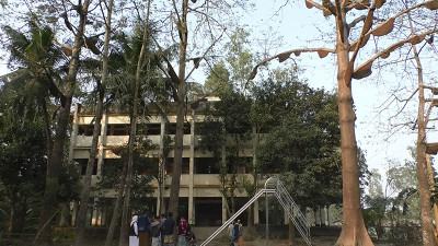 ‘সরিষা মৌসুম শেষ হলেই চলে যাবে মৌমাছি’