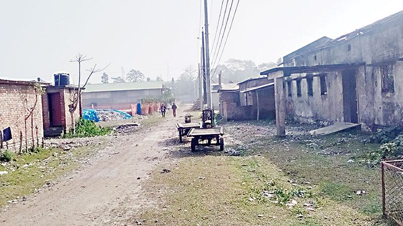 সমস্যায় জর্জরিত পটুয়াখালী বিসিক শিল্পনগরী