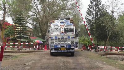 ছয় মাসে সাড়ে ৮৪ হাজার টন পেঁয়াজ আমদানি