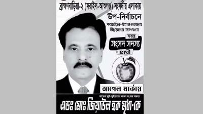 সরে দাঁড়ালেন জাতীয় পার্টির সাবেক এমপি জিয়াউল হক