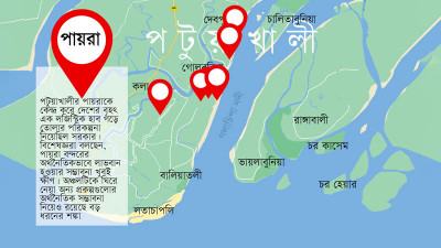 সম্পদ নয়, বোঝায় রূপ নিতে পারে পায়রাকেন্দ্রিক উন্নয়ন প্রকল্পগুলো