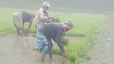 চুয়াডাঙ্গায় শৈত্যপ্রবাহে দুর্বিষহ কর্মজীবন
