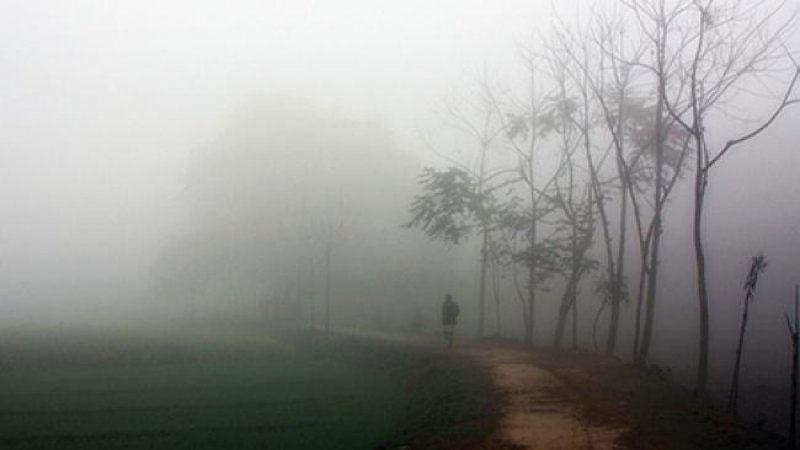 এবার শ্রীমঙ্গলে মৌসুমের সর্বনিম্ন তাপমাত্রা