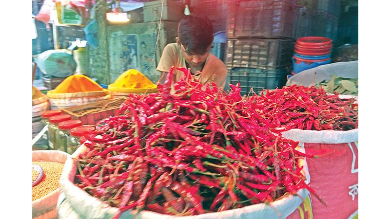 দেশের বাজারে ইতিহাসের সর্বোচ্চে শুকনো মরিচের দাম