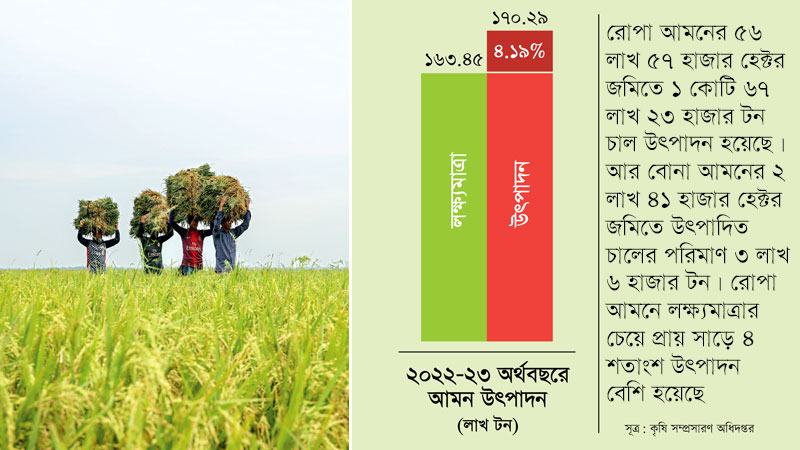 লক্ষ্যমাত্রার চেয়ে আমন উৎপাদন বেড়েছে ৪ শতাংশ