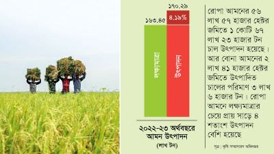 লক্ষ্যমাত্রার চেয়ে আমন উৎপাদন বেড়েছে ৪ শতাংশ
