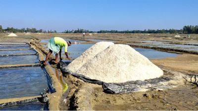 অভ্যন্তরীণ চাহিদার বেশি লবণ উৎপাদনের আশা বিসিকের