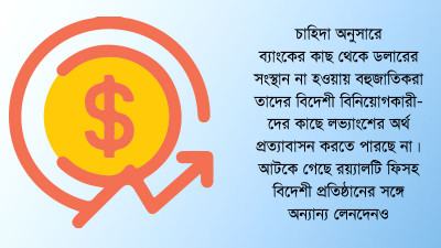 ডলার সংকটে লভ্যাংশ প্রত্যাবাসনে সমস্যায় পড়ছে বহুজাতিকরা