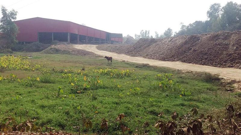 ‘‌পরিবেশবান্ধব’ ইটভাটায় ফসলি জমির মাটি