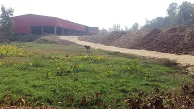 ‘‌পরিবেশবান্ধব’ ইটভাটায় ফসলি জমির মাটি