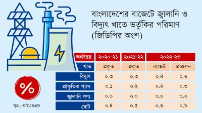 চলতি বছরেই জ্বালানি পণ্যে সব ধরনের ভর্তুকি প্রত্যাহার করতে হবে