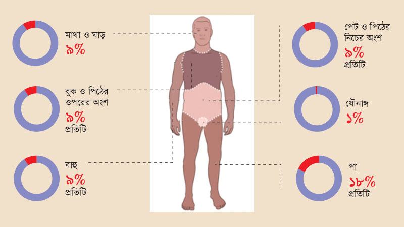 পোড়ার ক্ষেত্রে শতাংশ আর ডিগ্রি দিয়ে কী বোঝায়
