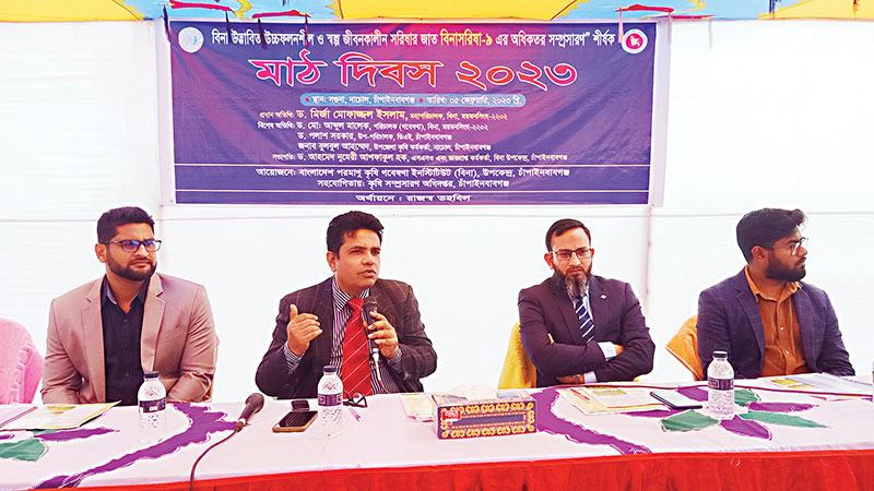 চাঁপাইনবাবগঞ্জে বিনা সরিষা-৯ সম্প্রসারণে মাঠ দিবস